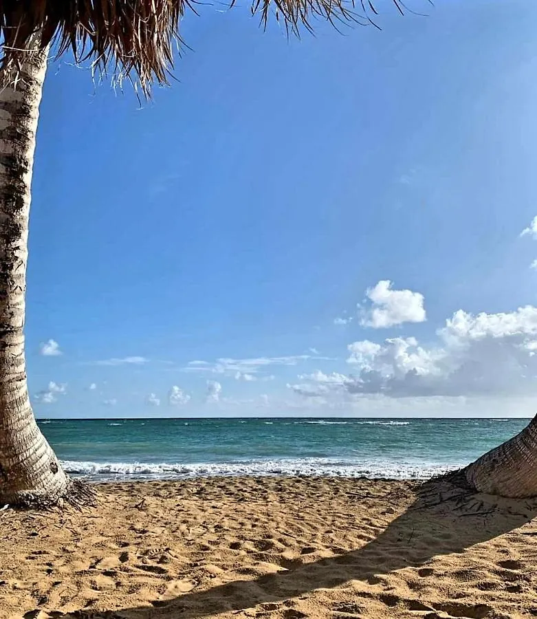 Condado Beach Apartment San Juan